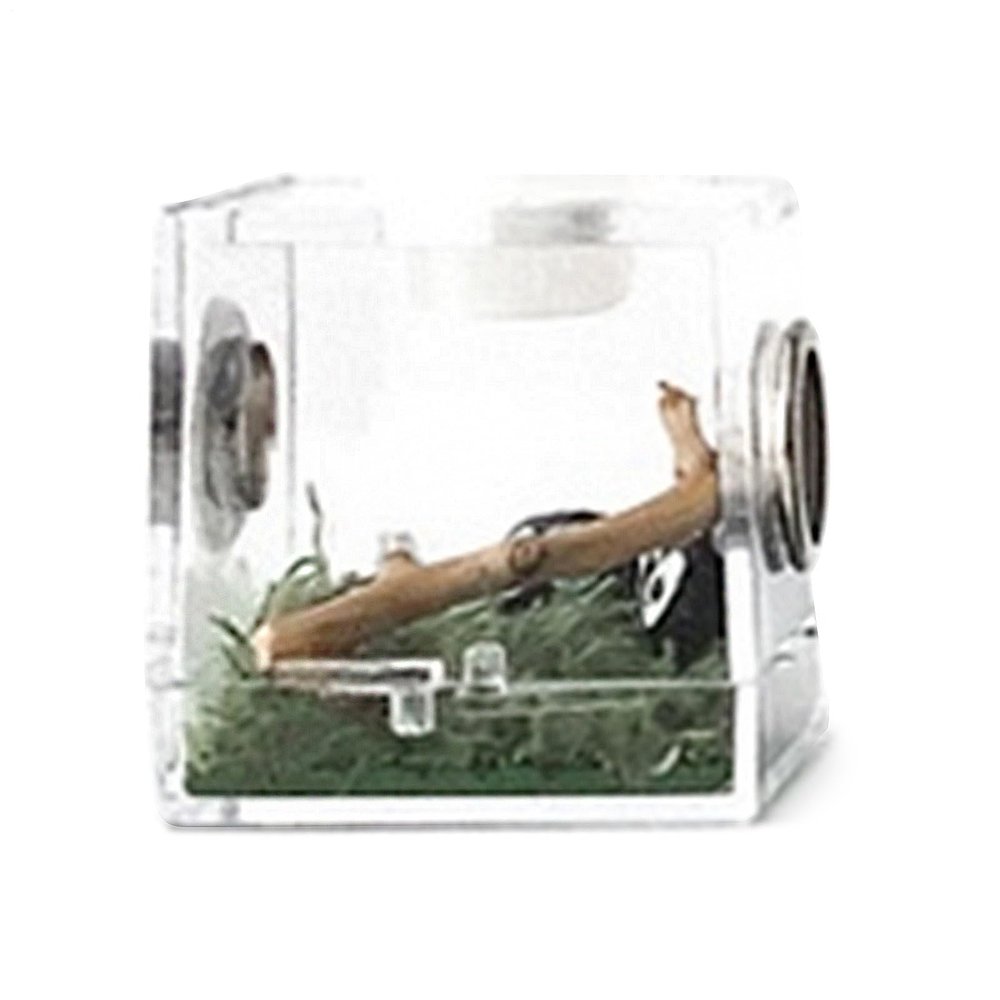 1Pc Breeding Box - Transparent Acrylic Habitat