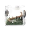 1Pc Breeding Box - Transparent Acrylic Habitat view 1