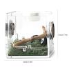 1Pc Breeding Box - Transparent Acrylic Habitat view 2
