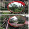 Weather-Resistant Convex Traffic Mirror for Outdoor Use view 3