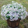 Realistic Silk Violet Artificial Flowers view 3