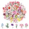 150 Transparent Scrapbook Stickers - Faded Poppy view 1