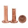 Countersunk Screws, Solid Flat-Head Rivets, M2.5 x 3–16 mm, Metric Smooth Shank, Drive-In Fasteners, 100 pcs (M2.5 x 5 mm) view 3