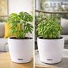 GiDeli Self-Watering Planter with Water Level Indicator view 4