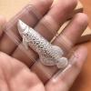 Silver Tea Fish Decoration view 3