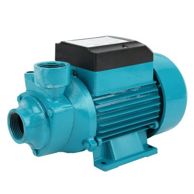 Garosa Electric Mini Pump, Cast Aluminum and Brass, 230 W 24 V DC, 82 ft Head