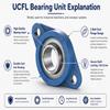 UCFL 210 2-Bolt Flange Bearing Unit, 50 mm Bore view 2