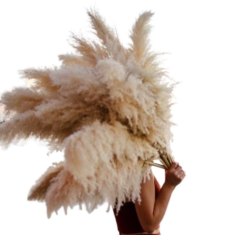 LuminaCreek Large Fluffy Pampas Grass, 110–120 cm, Dried Flower Bouquet, Beige, 10 Pieces