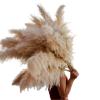 LuminaCreek Large Fluffy Pampas Grass, 110–120 cm, Dried Flower Bouquet, Beige, 10 Pieces view 1