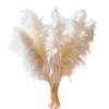 LuminaCreek Large Fluffy Pampas Grass, 110–120 cm, Dried Flower Bouquet, Beige, 10 Pieces view 2