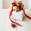 Valixirant Christmas Red with Artificial Craft Branches view 2