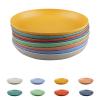 burkfeeg 8-Piece 22.5 cm Unbreakable Camping Plate Set view 1