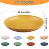 burkfeeg 8-Piece 22.5 cm Unbreakable Camping Plate Set view 2