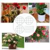 3-Pack Metal Climbing Plant Support Cages, Trellis Style view 4