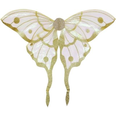 Dinntty Fairy Wings, Two-Tone Butterfly Wings for Women