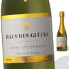 FunFest - Champagne Label - Baby on the Way - White & Gold view 1