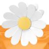 Daisy Magnetic Clips - 6 Pack view 1