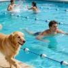Generic Pool Lane Divider Rope with Floating Buoys, Safe and Weather-Resistant view 2