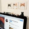 Gxdamxz 5-Piece Mini Cat Figurines view 3
