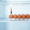 Refrigerator Temperature Monitor view 2