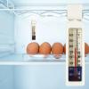 Refrigerator Temperature Monitor view 3