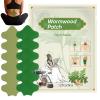 Joint Patches - 12 Pack Long-Lasting Warming Muscle Stickers view 1