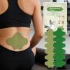Joint Patches - 12 Pack Long-Lasting Warming Muscle Stickers view 2