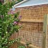 Natural Reed Privacy Screen Mat, 120 x 600 cm, for Balcony, Patio, Garden, Fence, Pergola and Sun Protection (Natural Black, 60 x 600 cm) view 3