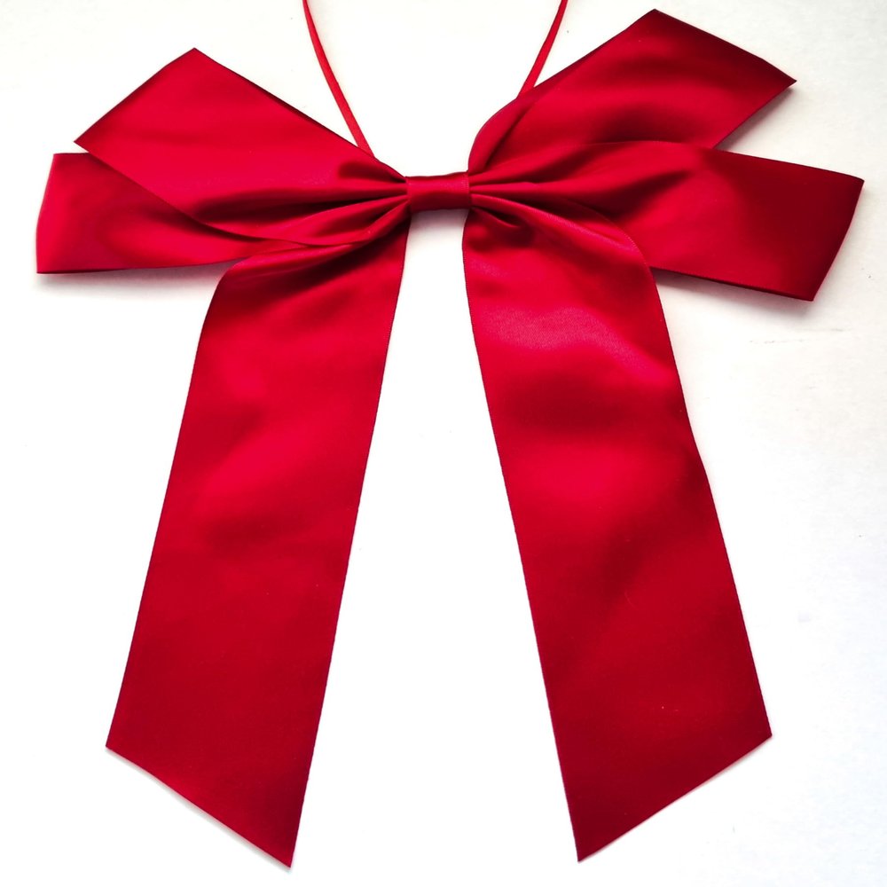 CaPiSo 20x30cm Satin Gift Bow