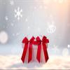 CaPiSo 20x30cm Satin Gift Bow (Bordeaux, 2 pcs) view 4