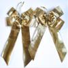 CaPiSo 20x30cm Gift Bow - No Crafting Required view 1