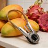 Mango Slicer - Stainless Steel Cutting Tool view 3