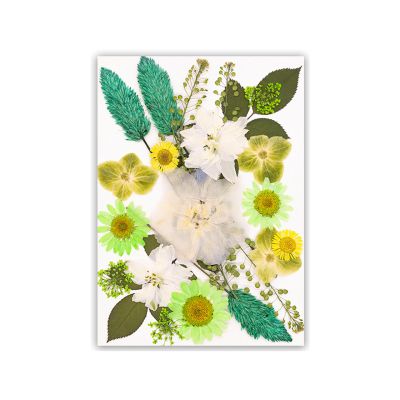 OSNIYAW Natural Dried Flower Petals Set for Crafting