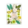 OSNIYAW Natural Dried Flower Petals Set for Crafting view 1
