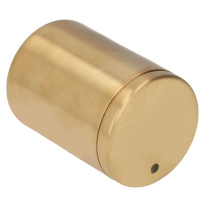 Eminchu Stainless Steel Toothpick Case, for Camping and Hiking, Ergonomic Design, 5.1 oz, Rich Gold