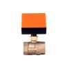 Motorized Brass Ball Valve, 3-Wire 2-Point Control, 220 V/12 V/24 V, 1/2"–2" view 1