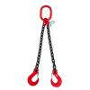 Heavy-Duty 3-Ton Alloy Steel Lifting Chain Sling with Hooks view 1