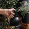 Haofy 400 mL Stainless Steel Watering Can for Indoor Plants view 2