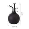 Haofy 400 mL Stainless Steel Watering Can for Indoor Plants view 4