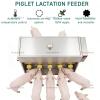 Piglet Milk Bottle with Constant Temperature, Automatic Stirring and Sound Function, 10 Nipples view 2