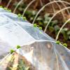 Greenhouse Clips, 200 Count, Plant Protection Film Clips view 3
