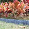 Generic Garden Edging, 20 Pieces, Elegant Decorative Elements view 3