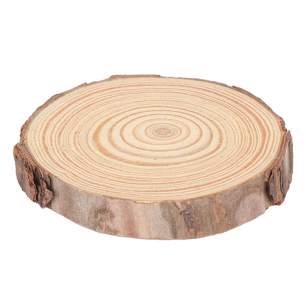 Haofy Natural Wood Discs