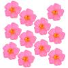 Beaupretty 10 Pack Artificial Hibiscus Flowers view 1