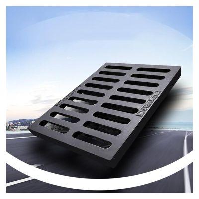 Cast Iron Drain Cover, 20 x 16 in (50 x 40 cm)