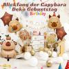 Capybara Birthday Decorations, 7 Piece Set view 4
