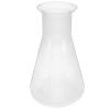 1000 mL Plastic Erlenmeyer Flask, Conical, Wide Mouth view 1