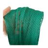 Garden Protection Net, HDPE Hail and Bird Net, 0.5 cm Mesh, Green, 2 x 5 m view 1