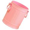 Fdit Pen Holder, Sturdy Plastic Bucket with Large Capacity and 2 Handles, Pink view 3