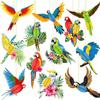 Fesnova 12-Piece Tropical Bird Decor view 1